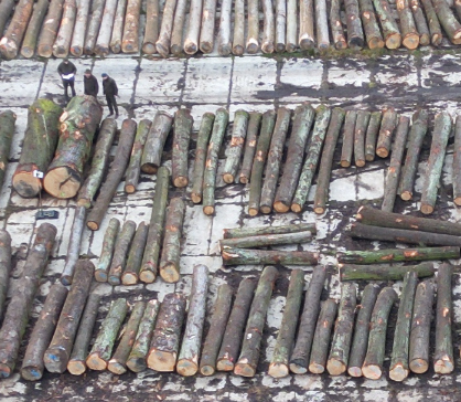 Auktionkatalog –WOODAUCTION 2025-11-SERVIS LES + Karte