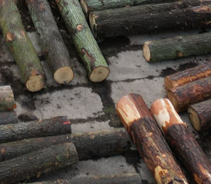 Dražební katalog – dražba WOODAUCTION 2026-02-BŘECLAV + mapa