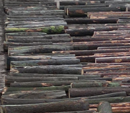 Dražební katalog – dražba WOODAUCTION 2026-02-ZBIROH + pokyny