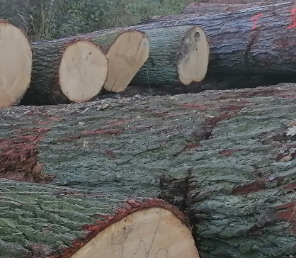 Dražební katalog – dražba WOODAUCTION 2026-03-SERVIS LES + mapa