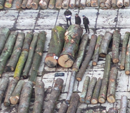 Výsledky dražby WOODAUCTION 2026-02-BŘECLAV