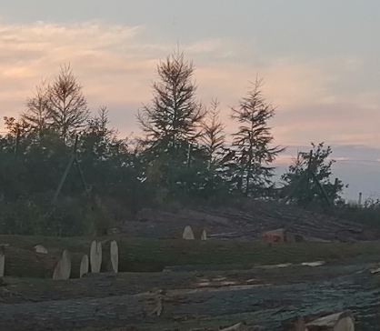 Výsledky dražby WOODAUCTION-2026-03-SERVIS LES